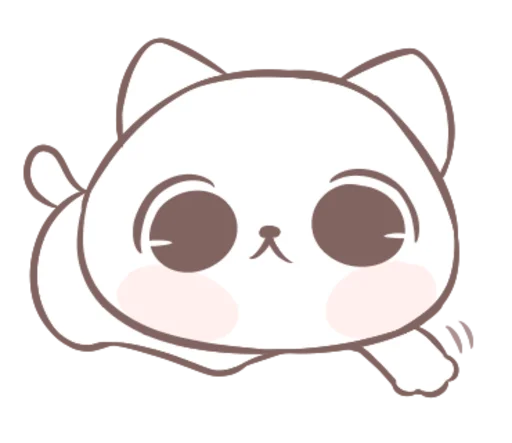 Footer Cat